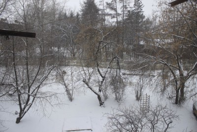 _MG_9503.JPG (276.74 КБ) 10587 просмотров Лето