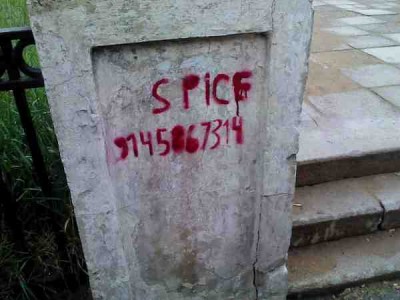 spice.JPG