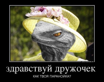 fRbftOGZyrE.jpg