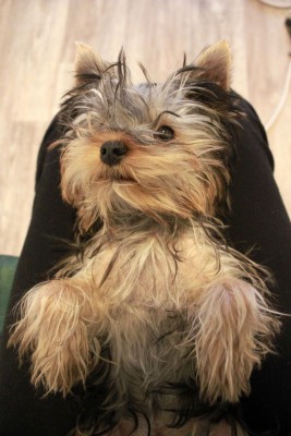 _MG_0720_small.jpg (240.73 КБ) 25502 просмотра Все епанулись