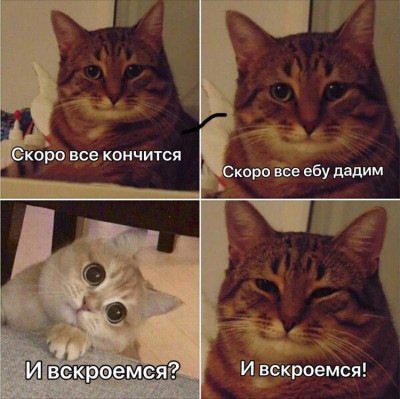 yPtsu7lIFlw.jpg